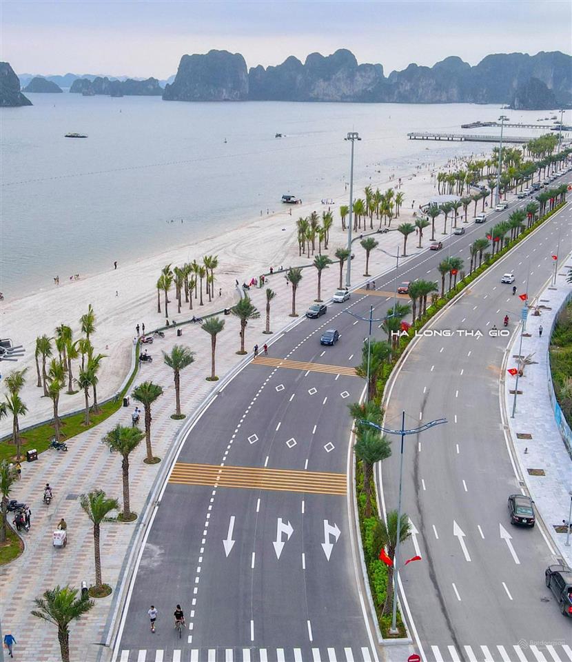 Em bán đất mặt đường bao biển cột 8, đối diện bãi tắm, dt 312m2, mt12m, hướng đn, giá 300tr/m2