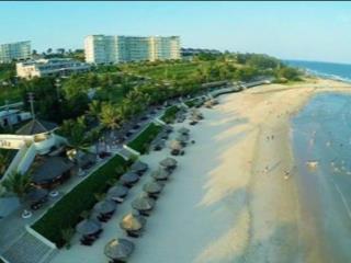 Duy nhất 1 căn ocean vista view biển đẹp  tầng cao | 2pn  sổ hồng sẵn