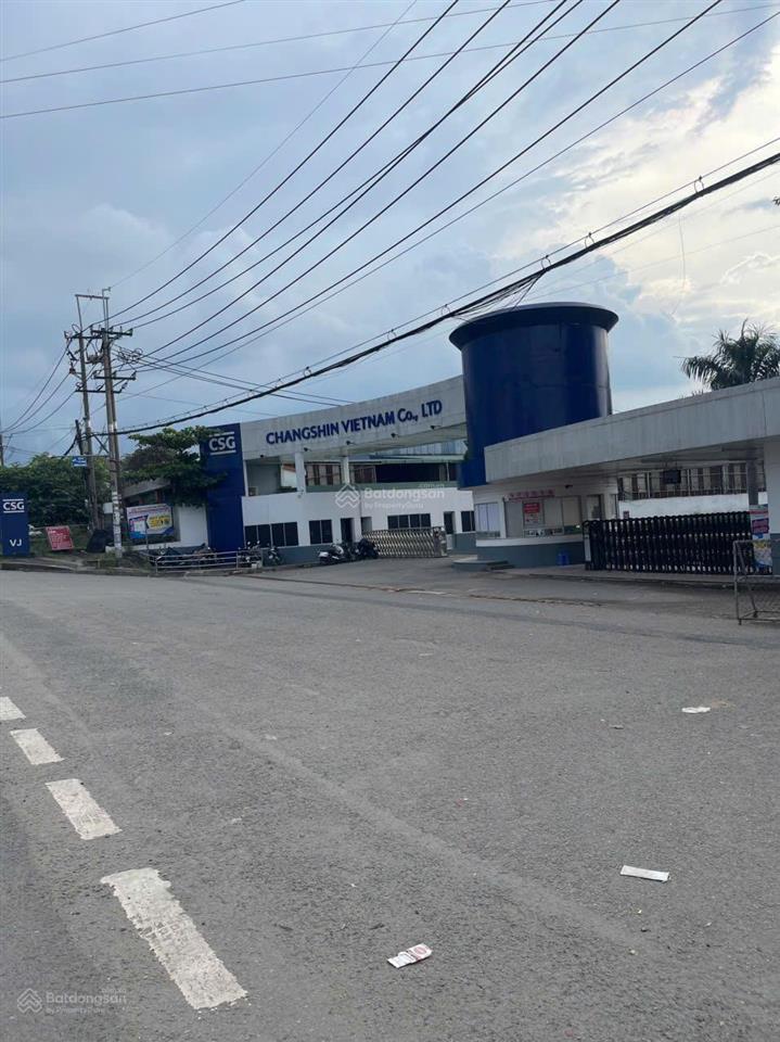 Bán đất nền phường tân triều  biên hòa | chỉ 300tr nhận nền