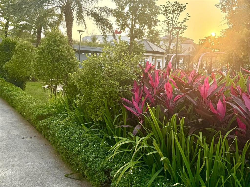 Trực tiếp cđt bt ciputra mớicạnh công viên hồ 65ha đã có sổ lâu dài  nhận nhà ngay  vay 0% 12th