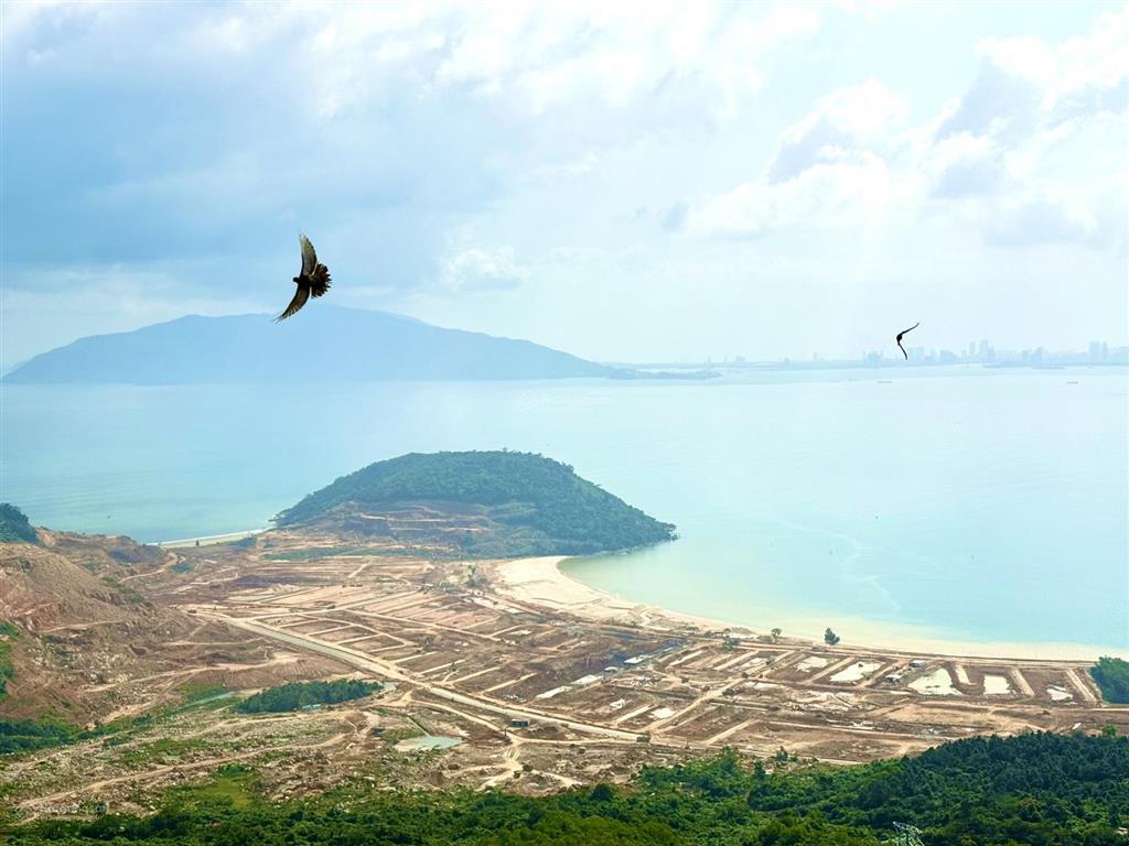 Trực tiếp cđt biệt thự song lập, đơn lập biển đảo ngọc vin đà nẵng từ 10 đến 29 tỷ sở hữu lâu dài