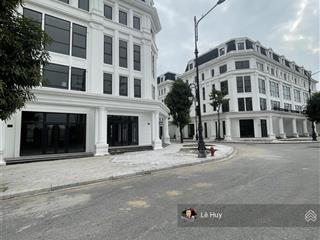 Chính chủ bán căn góc ngã 3 đường 13.5m, rộng 200m2, mặt tiền 29m, giá bán nhỉnh 50 tỷ louis city