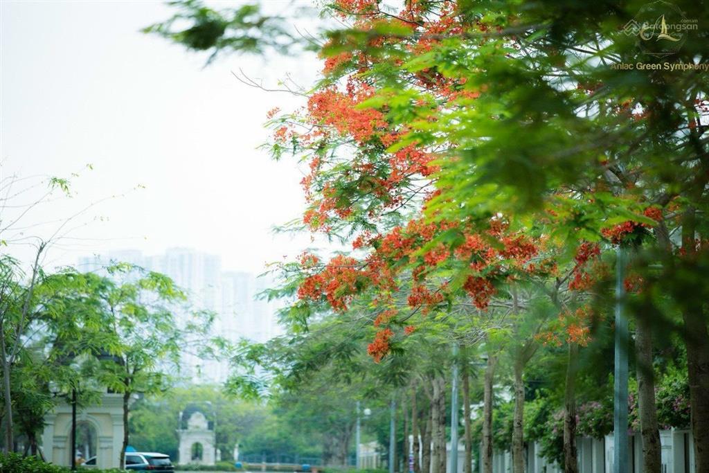 Em huyền trang xin gửi anh chị căn liền kề 122m2 đường 30m, view hồ, công viên, trung tâm chỉ 24 tỷ