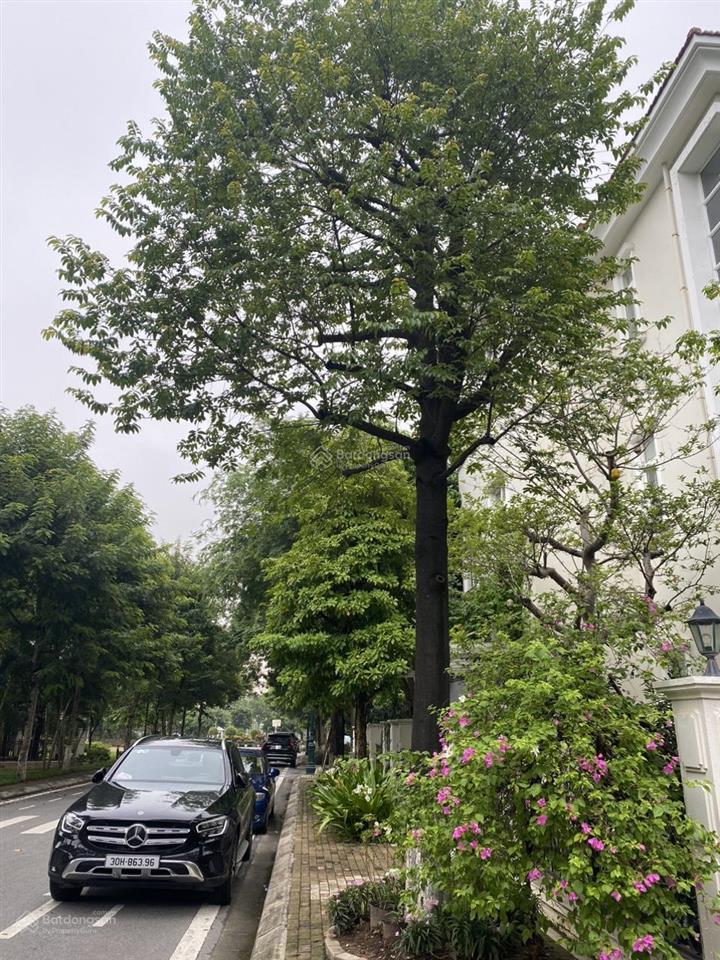 Căn biệt thự phương viên rẻ nhất dự án 300m2 sẵn sổ đỏ chỉ 146tr/m2, nhà xây thô nguyên bản