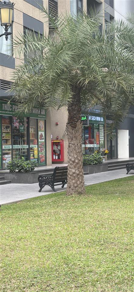 Chính chủ bán căn shophouse chân đế mặt sảnh 55m2 sổ đỏ lâu dài , đang cho thuê 45tr/ tháng,12.2 tỷ