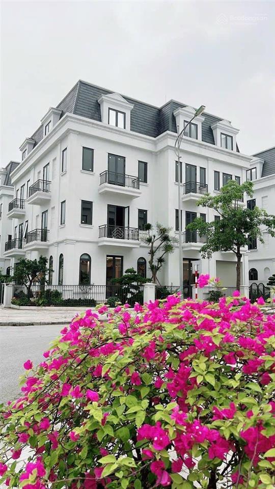 Quỹ 3 căn ngon  bổ  rẻ ,rẻ hơn thị trường 10 tỷ,sẵn sổ đỏ, mua là thắng sẵn nhà ở ngay ~chỉ 25 tỷ