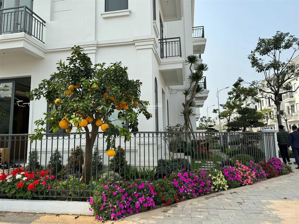 Quỹ 3 căn ngon  bổ  rẻ ,rẻ hơn thị trường 10 tỷ,sẵn sổ đỏ, mua là thắng sẵn nhà ở ngay ~chỉ 25 tỷ