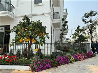 Quỹ 3 căn ngon  bổ  rẻ ,rẻ hơn thị trường 10 tỷ,sẵn sổ đỏ, mua là thắng sẵn nhà ở ngay ~chỉ 25 tỷ