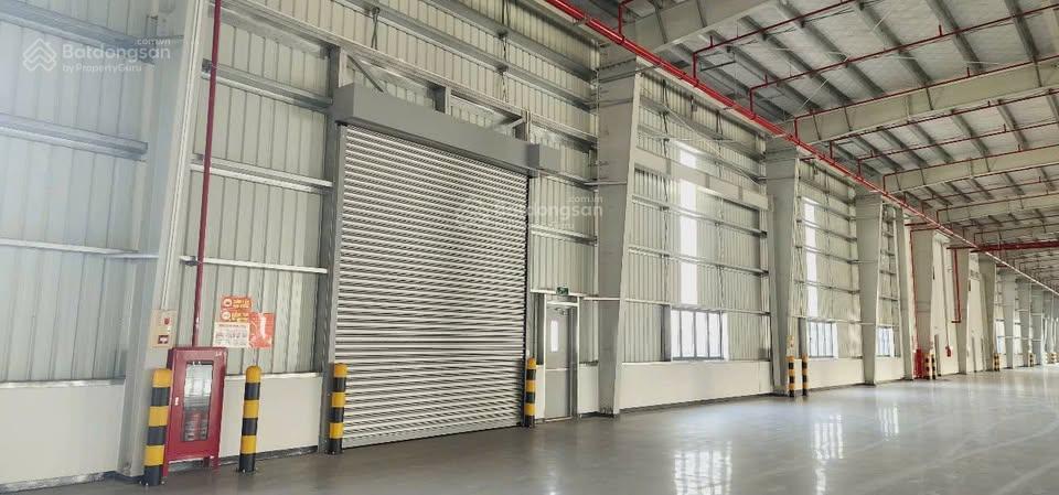 Kho xưởng kcn thụy vân. fdi/epe, 30.000m² chia thành nhiều xưởng độc lập, pccc tự động, miễn thuế