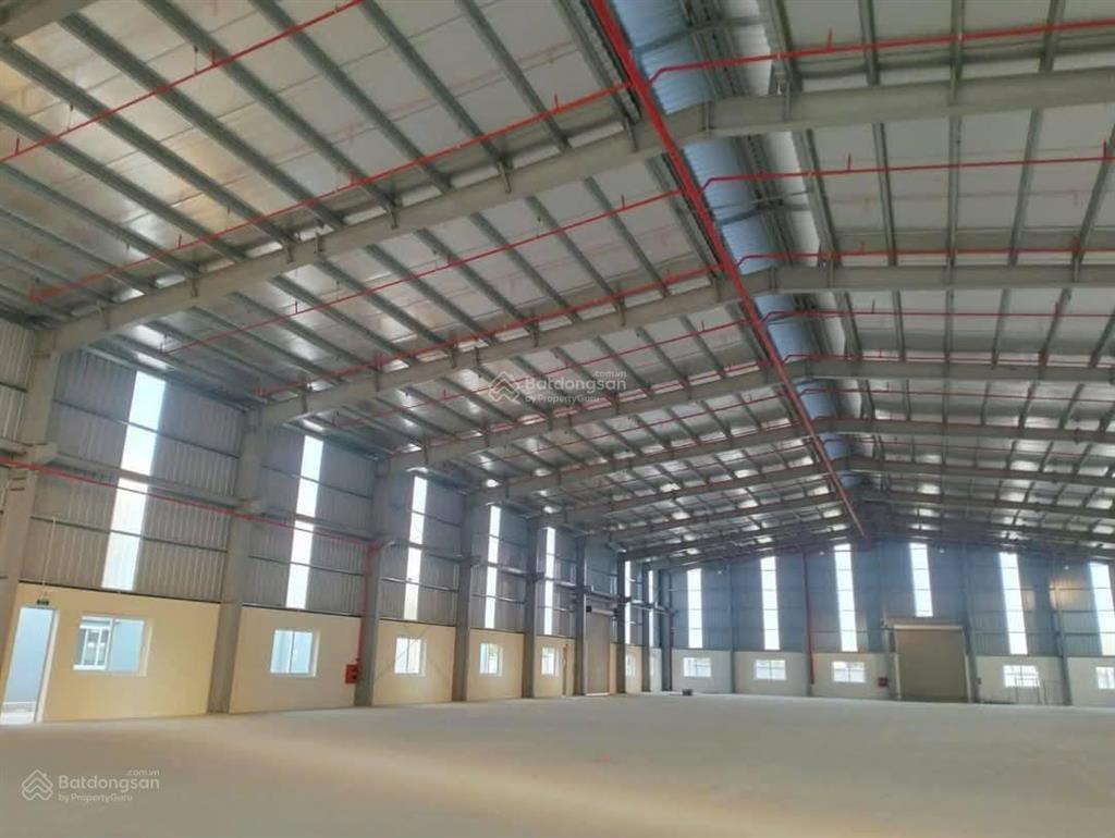 Kho xưởng một tầng và hai tầng kcn quang châu, 30.000m2, pccc tự động, fdi/epe