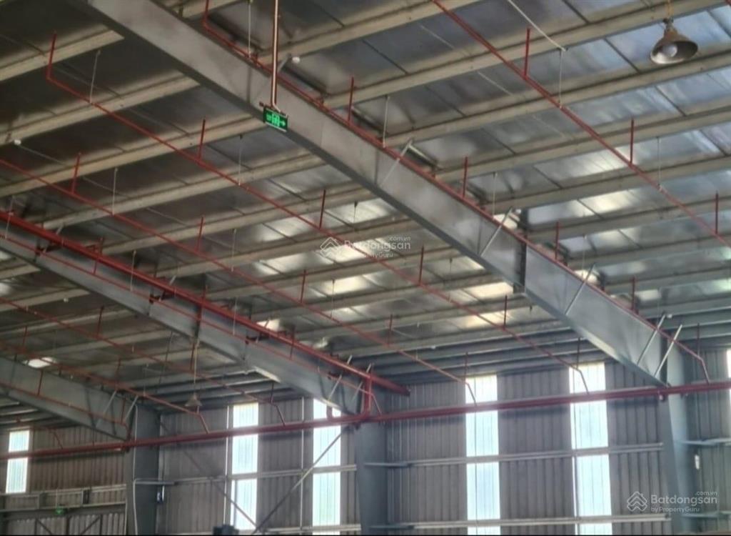 Kho xưởng kcn nam sách. mới 100%, 55.000m2  đa dạng nhiều diện tích, pccc tự động, miễn thuế