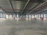 Kho xưởng một tầng kcn khai sơn, dt 25.000m2, pccc sprinkler, cao 14m