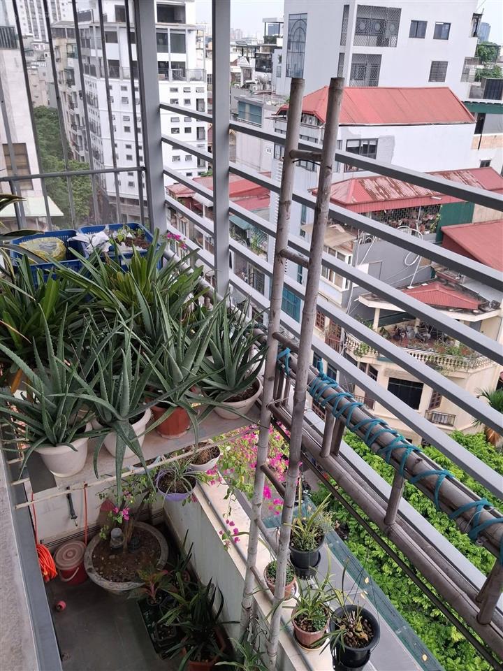 Cần bán gấp tòa nhà mặt phố võ văn dũng, đống đa, view hồ hoàng cầu 9 tầng thang máy, giá 38 tỷ