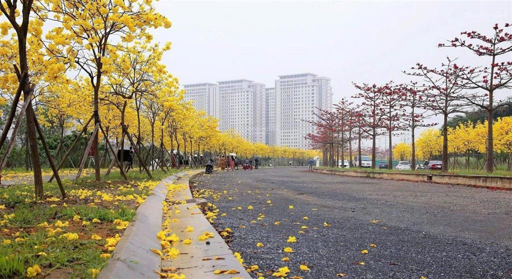 92.43tr/m2 11tỷ căn tiến độ thanh toán 50% trong % còn lại thanh toán khi nhận nhà 2030