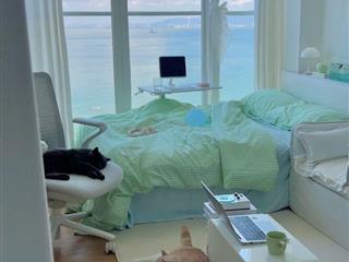 CƠ HỘI CUỐI – 3 SUẤT NỘI BỘ GIÁ GỐC CHUNG CƯ VÂN ĐỒN GIÁP BIỂN CHỈ TỪ 1TỶ