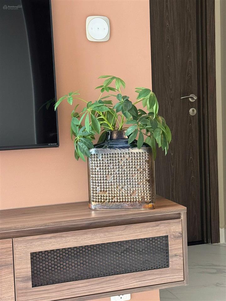 Chính chủ cho thuê vinhomes grand park 2pn (1pn + phòng làm việc) full nội thất