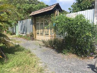 Bán đất thổ cư nguyễn thị rành, an nhơn tây, củ chi 29 x 76= 2.197m2, giá 8 tỷ