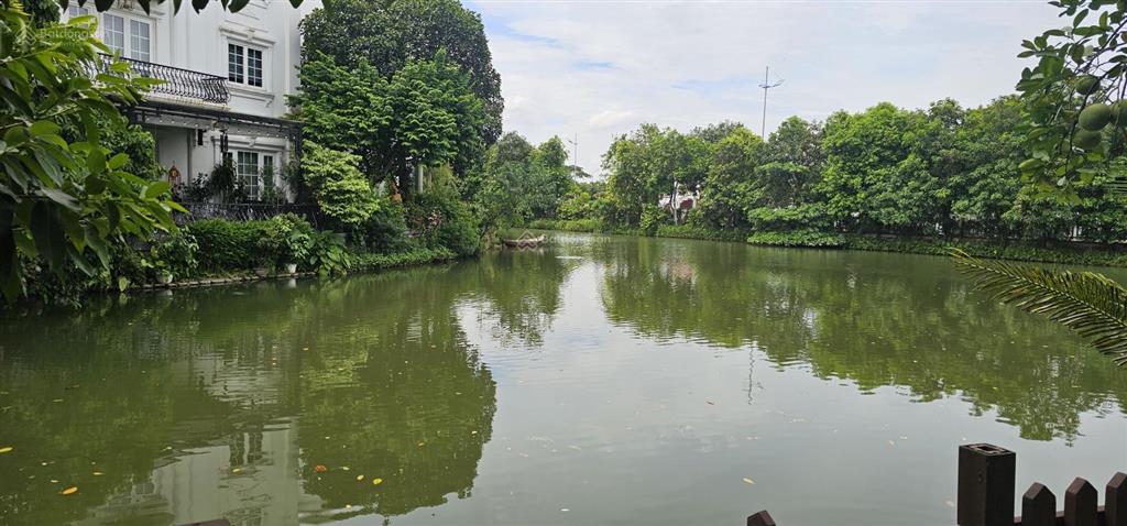 Chính chủ nhờ bán căn biệt thự đơn lập hoa lan  vinhomes riverside long biên 383m2 giá 210 tỷ