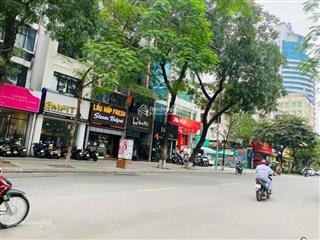 Chính chủ tôi bán nhà riêng trần quang diệu 40m2 x 5 tầng mt3,5m vỉa hè rộng có gara ô tô giá 15 tỷ