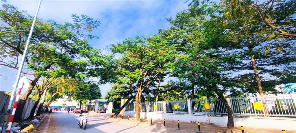 Bán đất cổ linh, long biên, vỉa hè, ô tô tránh, kinh doanh, 155m2, giá 29,8 tỷ