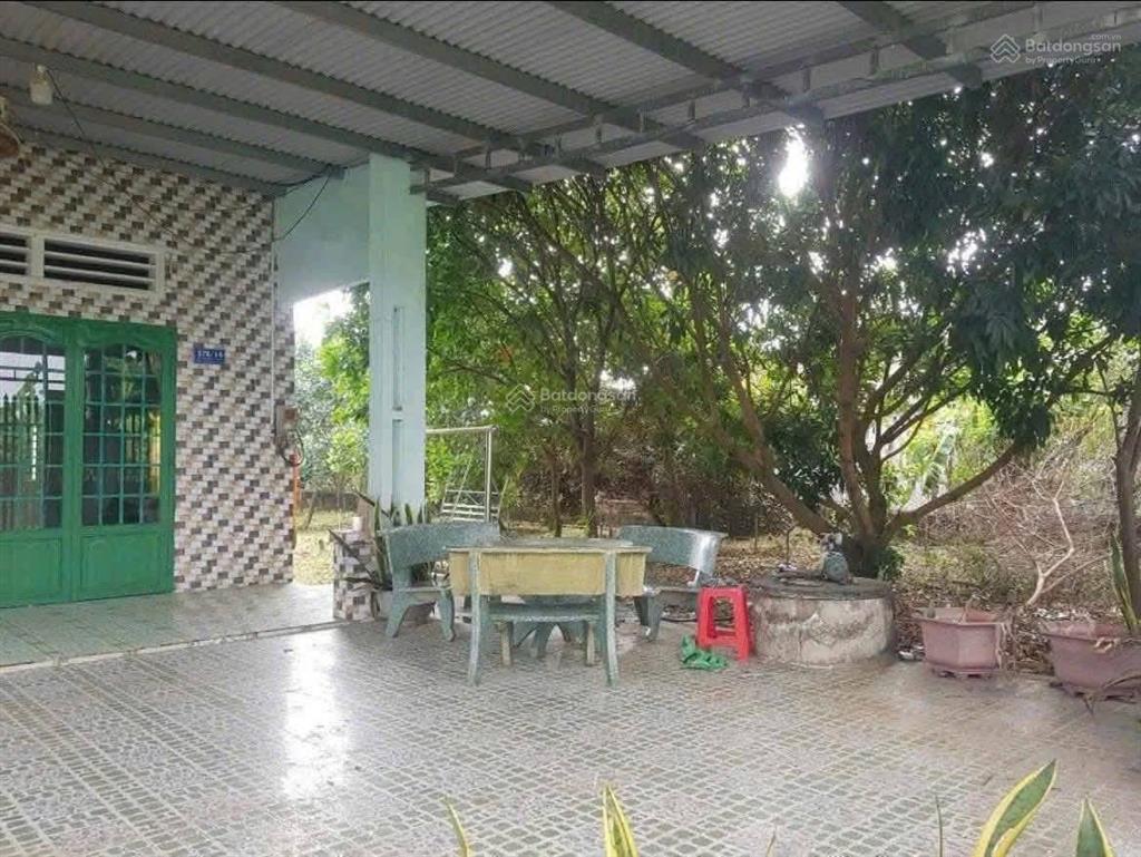 Bán mảnh vườn 613m2 đã có nhà sẵn xung quanh cây ăn trái có thổ cư gần ngã ba cư dân đông
