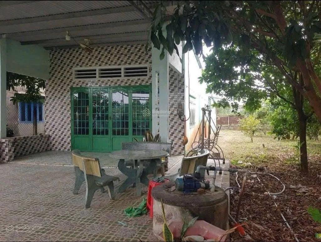 Bán mảnh vườn 613m2 đã có nhà sẵn xung quanh cây ăn trái có thổ cư gần ngã ba cư dân đông