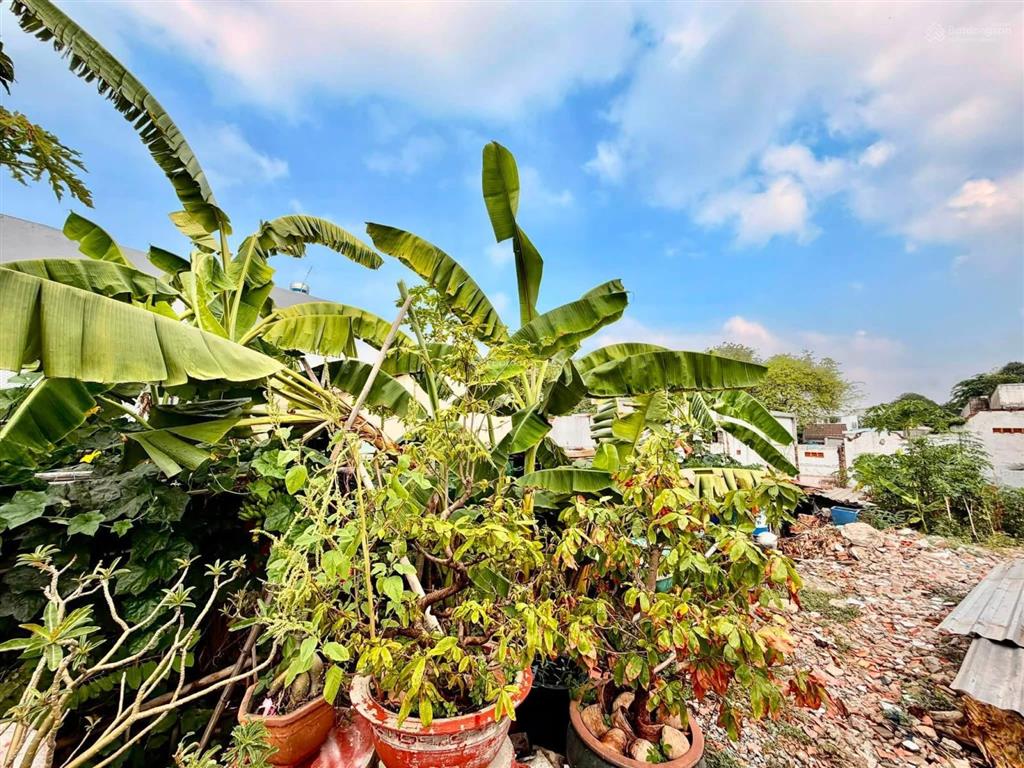 Bán lô đất tại lái thiêu 63 dt 114m2 shr cách chợ lái thiêu chỉ 200m ra lotte mart chỉ 2p di chuyển