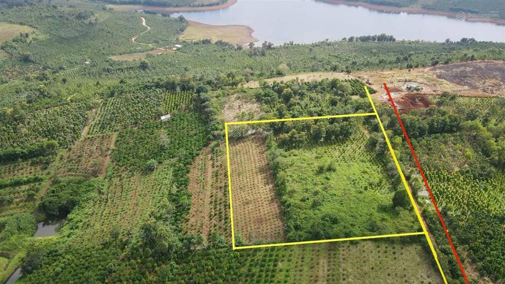 Bán đất tại đak rla đak mil 1020m2 shr nằm ngay trung tâm đak mil giá ngợp chỉ 535tr sang tên ngay