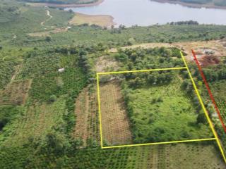 Bán đất tại đak rla đak mil 1020m2 shr nằm ngay trung tâm đak mil giá ngợp chỉ 535tr sang tên ngay