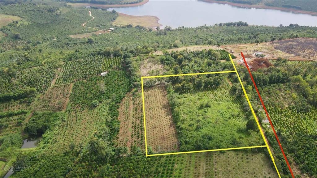 Bán đất tại đak rla đak mil 1020m2 shr nằm ngay trung tâm đak mil giá ngợp chỉ 535tr sang tên ngay