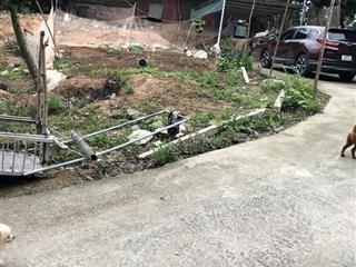 195m2 có 120m2 thổ cư tuần châu, lô góc. hai mảnh liền nhau, tổng s 390m2. phù hợp làm nhà vườn