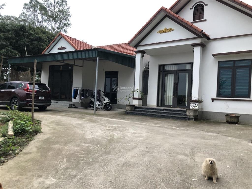 195m2 có 120m2 thổ cư tuần châu, lô góc. hai mảnh liền nhau, tổng s 390m2. phù hợp làm nhà vườn
