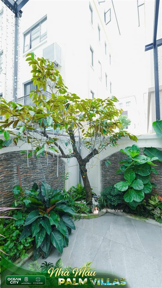 Shophouse xẻ khe 80m2 nổi bật vinhomes global gate hạ long tđ20  15