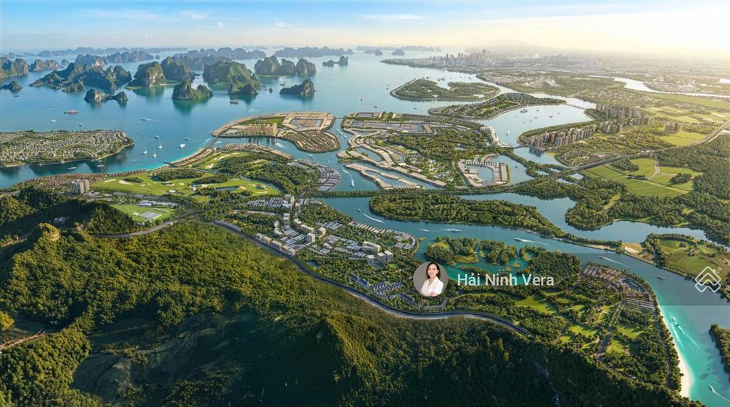 Siêu phẩm đầu tư nđ1906 60m2. một vị trí vàng đắt giá vừa để ở, vừa kinh doanh và đầu tư lâu dài.