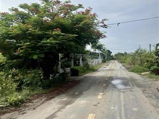 Bán đất đường an thuận 320m2 tại xã an ninh đông, đức hòa, long an, giá 3,1 tỷ