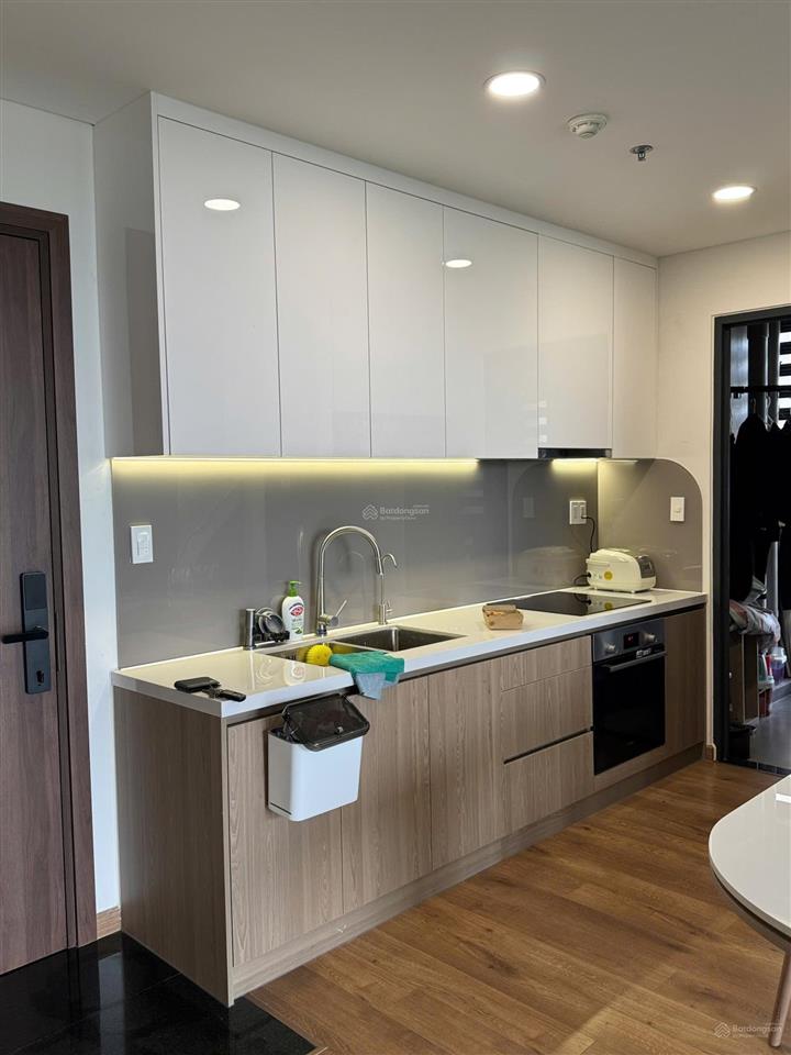 Bán căn hộ mizuki park góc 2pn 2wc full nội thất, sổ hồng cách quận 1 chỉ 20 phút