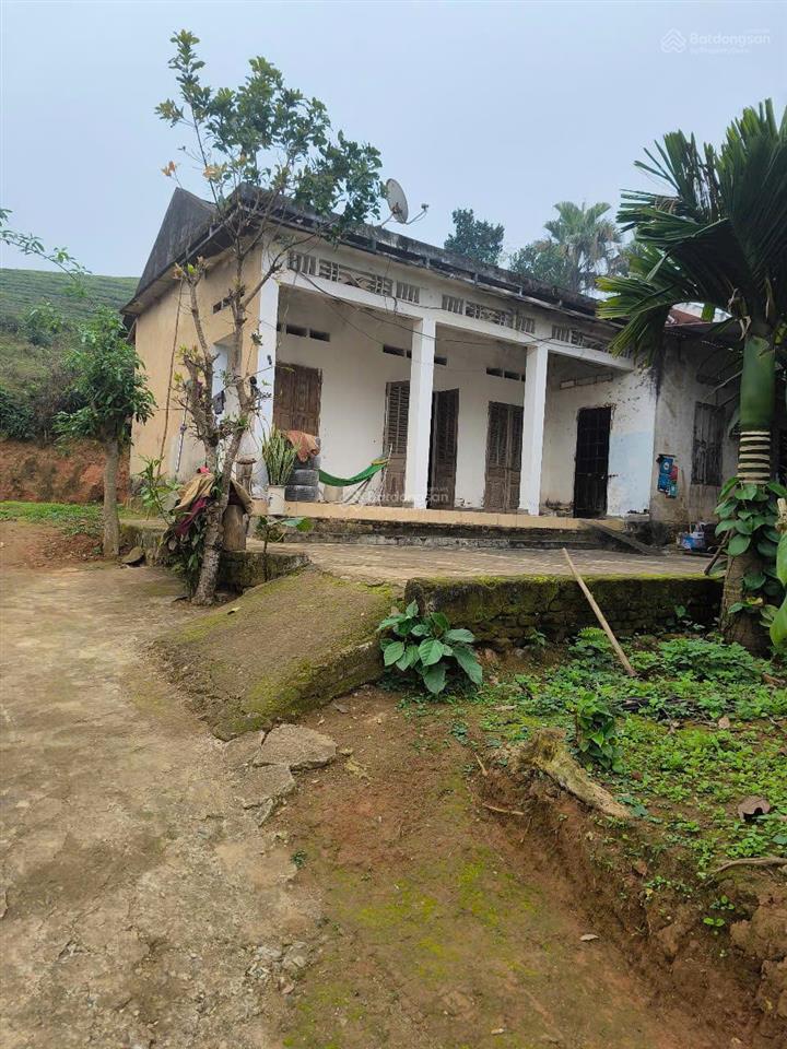 Bán đất nghỉ dưỡng sẵn nhà đẹp xuất sắc tại minh đài, phú thọ, diện tích 8500 m2 có 300m thổ cư