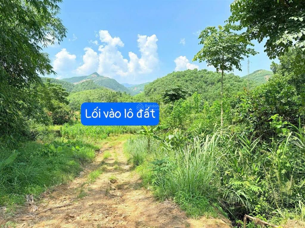 Bán đất 7,6ha sẵn cây quế và bồ đề tại yên lập, phú thọ, 14 nghìn /m2, gần hồ du lịch