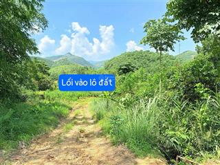 Bán đất 7,6ha sẵn cây quế và bồ đề tại yên lập, phú thọ, 14 nghìn /m2, gần hồ du lịch