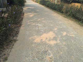 Bán đất nghỉ dưỡng tại xã vạn xuân  tam nông  phú thọ, 950 nghìn / m2, 2330 m2, có 400m thổ cư