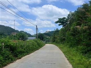 Bán gấp trang trại khu nghỉ dưỡng ở minh đài, giá 50k/m2, 44000m², mặt tiền 200m có thổ cư, nhà gỗ