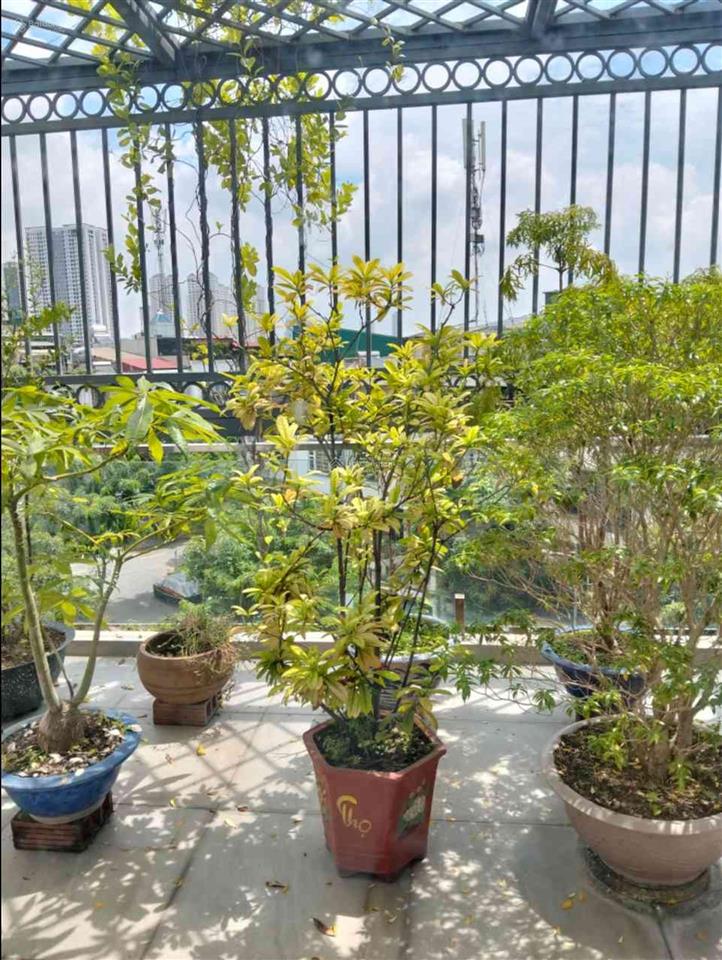 21,85 tỷ. liền kề văn phú view sân golf, hàng hiếm! 92m2 5 tầng mt 4,6m, thang máy, gara ô tô