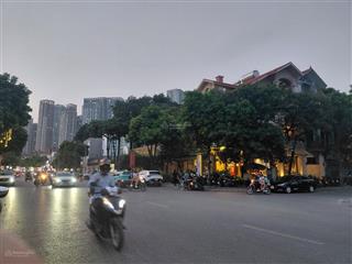 Bán biệt thự lô góc mặt phố nguyễn văn lộc hà đông. 190m2, 4t. 92 tỷ. đang cho thuê 180tr/tháng