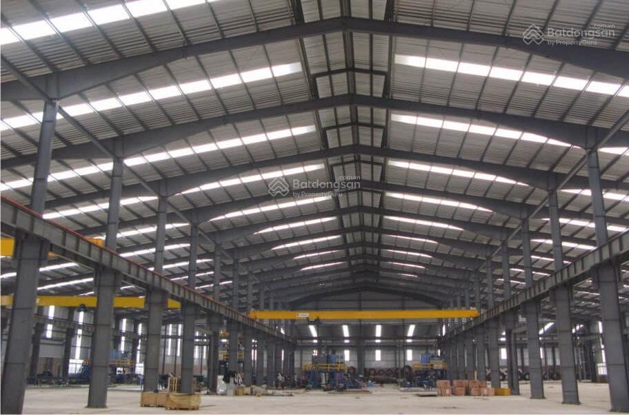 Cho thuê xưởng diện tích lớn có sẵn tại hải phòng