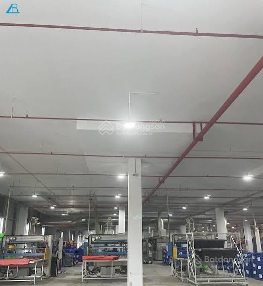 Mời thuê xưởng tại an lão, hải phòng
