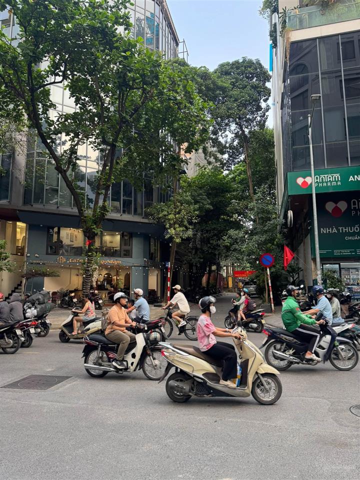 Nhà mặt phố đội cấn ba đình lô góc 2 mặt tiền kinh doanh tối đa 120m, mt 7m, cần thanh khoản nhanh.