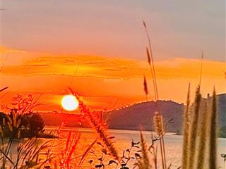 Biệ,t th,ự 1.000m² view hồ ngọc  thung lũng săn mây đẹp nhất bảo lộc, phường 2