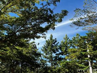 Ngộp bank hạ giá gấp lô đất 200m2 full thổ 10x20m