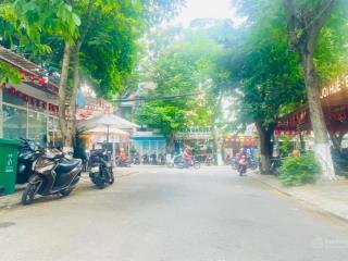 Siêu hiếm! bán đất an thượng giá hời khu, xây căn hộ cho thuê cực đẹp, diện tích 113  ngang 7,6m