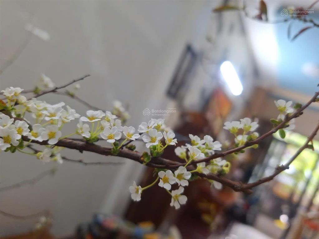 Chính chủ cần bán nhà riêng tại đường tân hòa đông, phường bình trị đông.